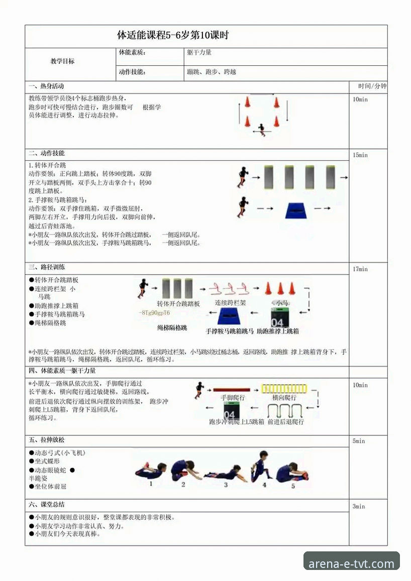 TVT体育平台安全性与使用体验全解析