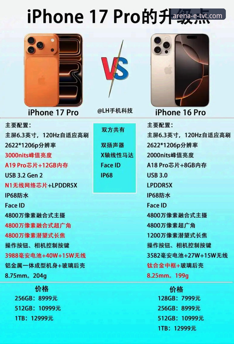 官方App与手机版对比：tvt体育官方网站app教程全解析