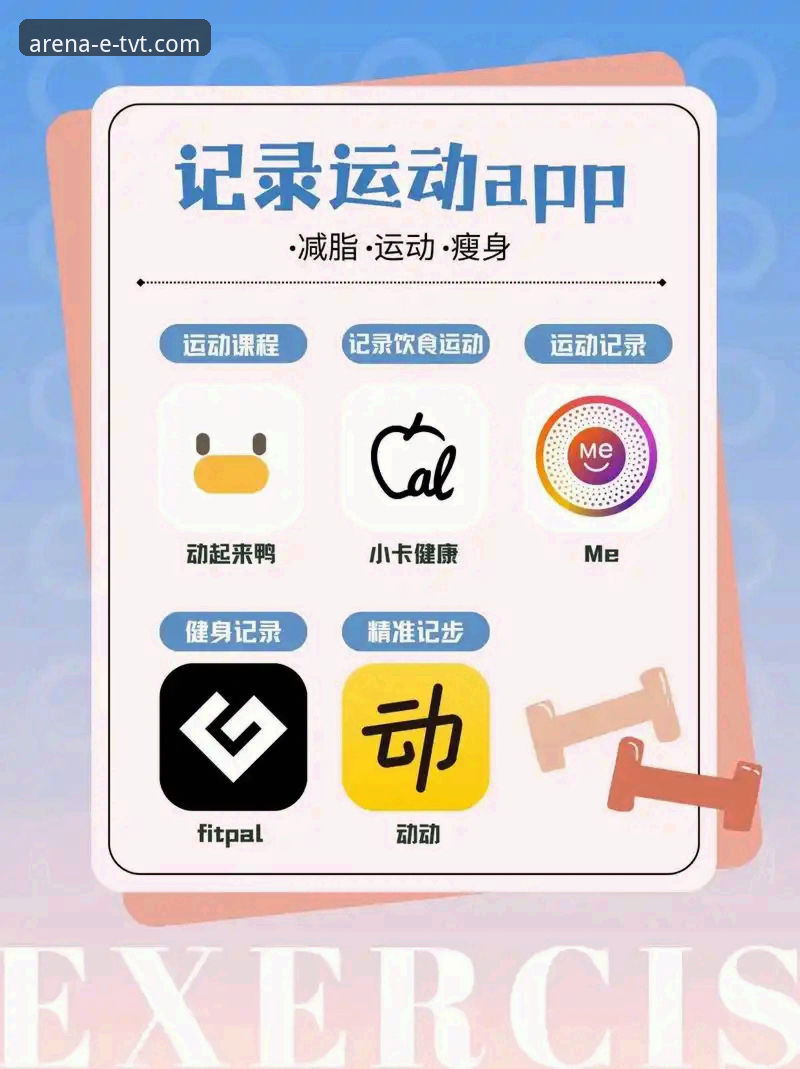 tvt体育app免费下载最全指南：官方版本安装与功能详解